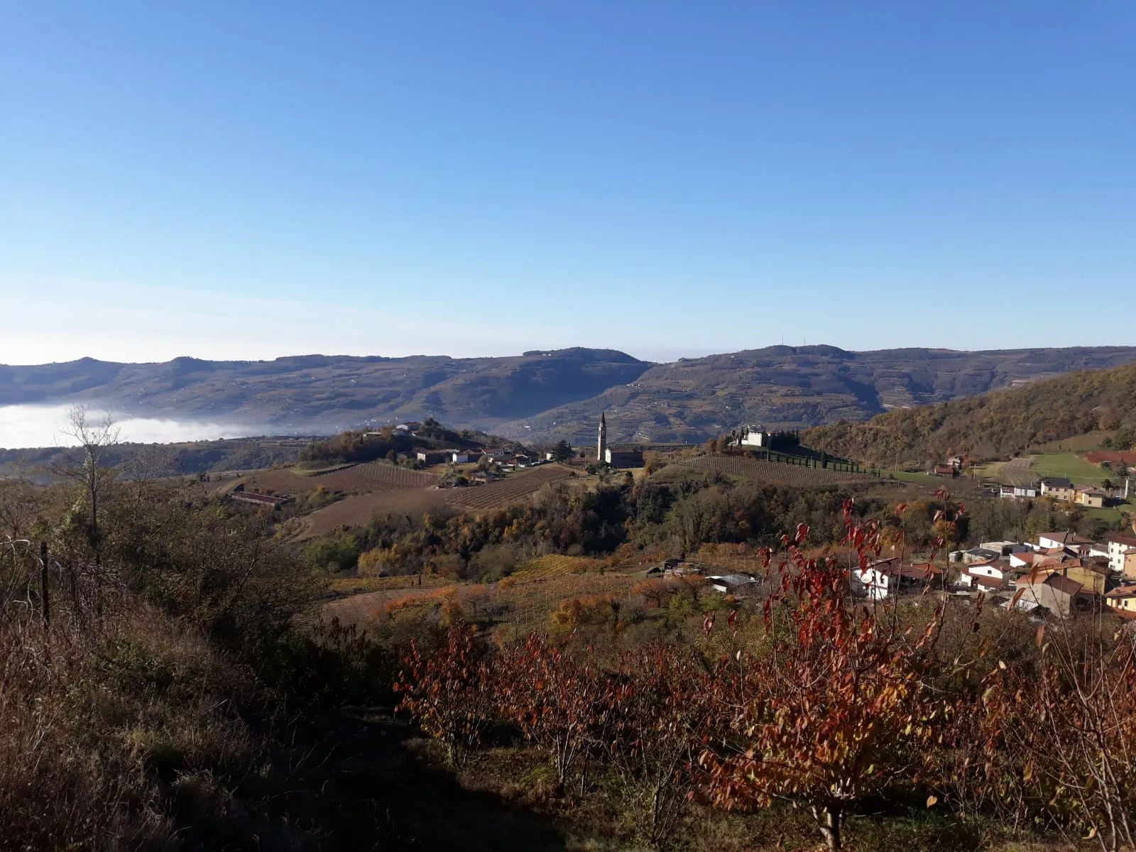 Degustazione verticale di Sotoca’ e Auguri di Buon Anno 2024