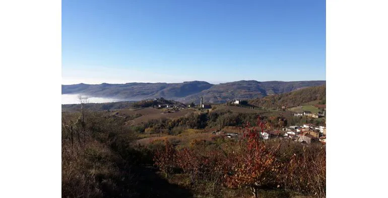 Degustazione verticale di Sotoca’ e Auguri di Buon Anno 2024