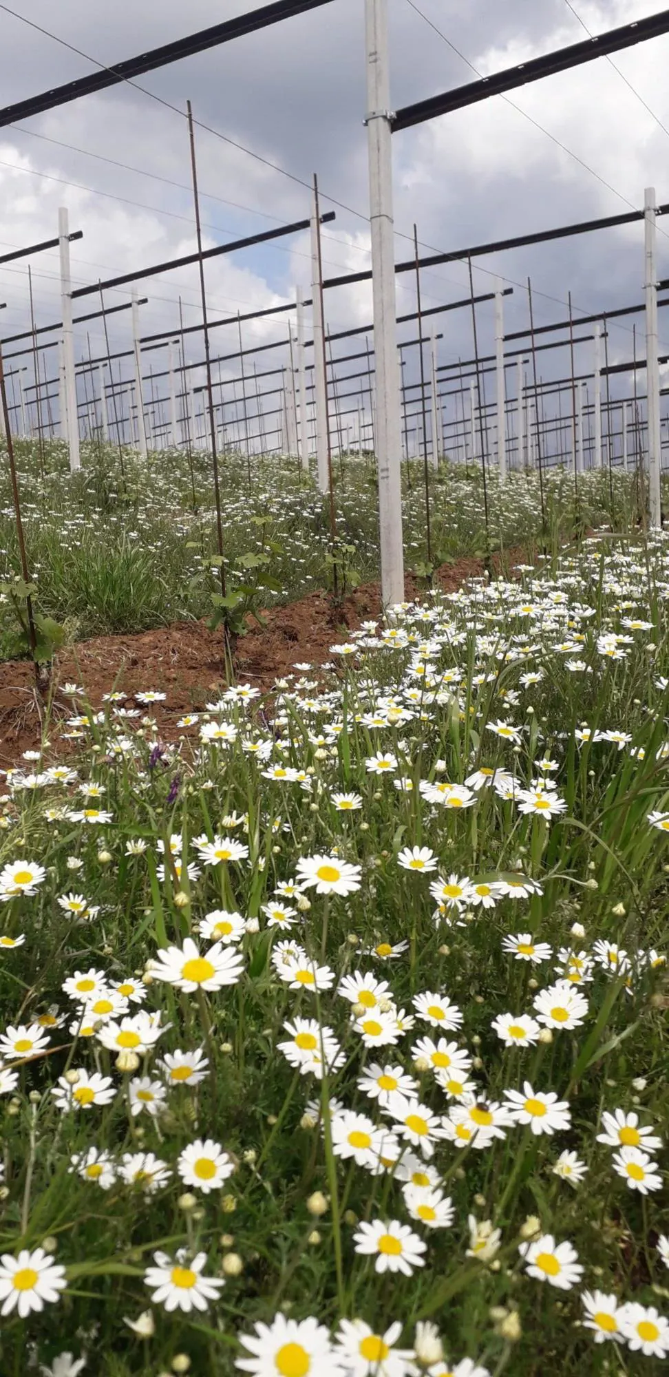 Aggiornamenti Primavera – Estate 2023
