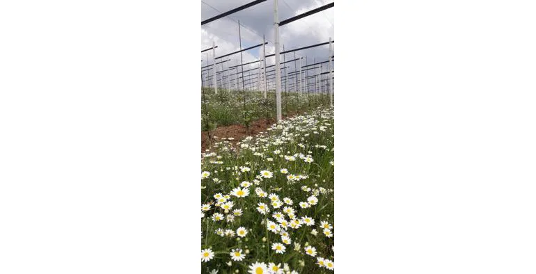 Aggiornamenti Primavera – Estate 2023