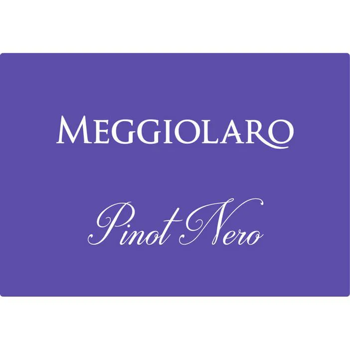 PINOT NERO IGT VENETO